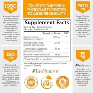 Turmeric Curcumin with BioPerine & Ginger 95% Curcuminoids 1950mg - Black Pepper Extract for Max Absorption, Nature's Joint Support Supplement, Herbal Turmeric Pills, Vegan Non-GMO - 120 Capsules  Health & Household